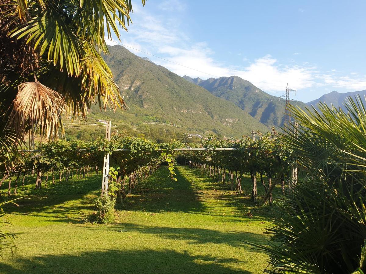 Отель Relais Divino Ала Экстерьер фото